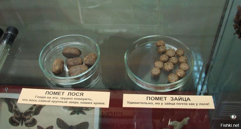 мы тоже в музее были)))
