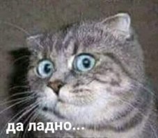 Довольно сильно натянутая х-ня. Супер таланта там маловато. В фильме "Черный лебедь" в сценах танцев снималась дублёрша (с которой потом возник крупный скандал, быстро замятый, когда Натали ПортмАн вдруг резко заявила, что "Практически всё она исполняла сама"). Богиня Грома - это уже признак участия в даунистической картине. "На награждение Оскаром было мало женщин, хотя ими было снято много достойных картин" - полная толерастатическая хе.ня. Либо они картины, снятые женщины были действительно достойными, либо "достойными" с точки зрения самих женщин - (режисеров, продюсеров, актеров), ну типа последнего терминатора (Ой-всё, а я так вижу...) и т.д. и т.п. Ничего супер-выдающегося в Натали ПортмАн - нет. Типичная актриса, поддерживающая современные тенденции и стремящаяся находиться (любой ценой) в мейнстриме. Есть пара неплохих ролей - но не более. Хотя, как говорится, у каждого свой любимый цвет у фломастера...