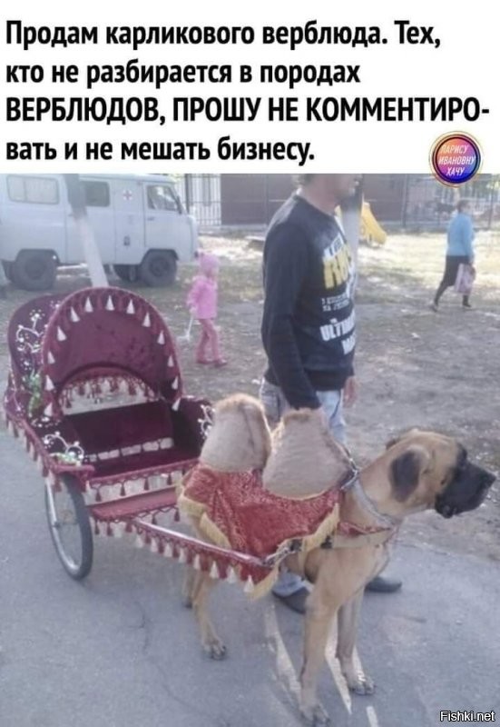 хочу спи*здить 129 лямов
