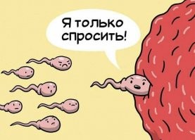 12 странных мифов о Японии, которые оказались правдой