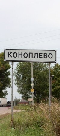 Смешные картинки