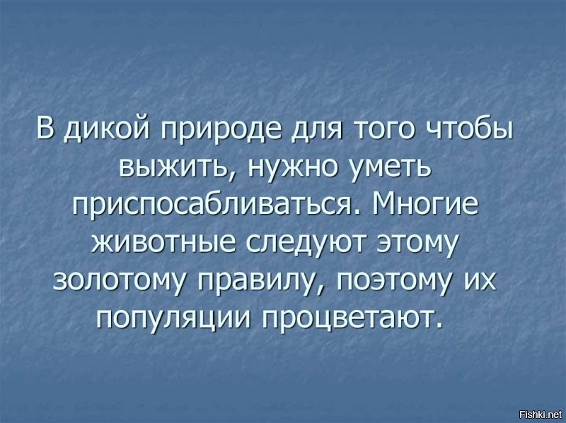 Народ