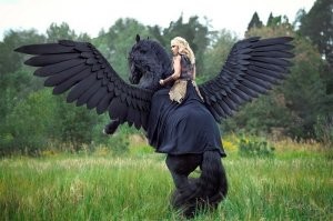 Вот это да!
 Кентавр с двумя бошками! 
Чет вспомнилось -
 повесть Александра Беляева "Голова профессора Доуэля"