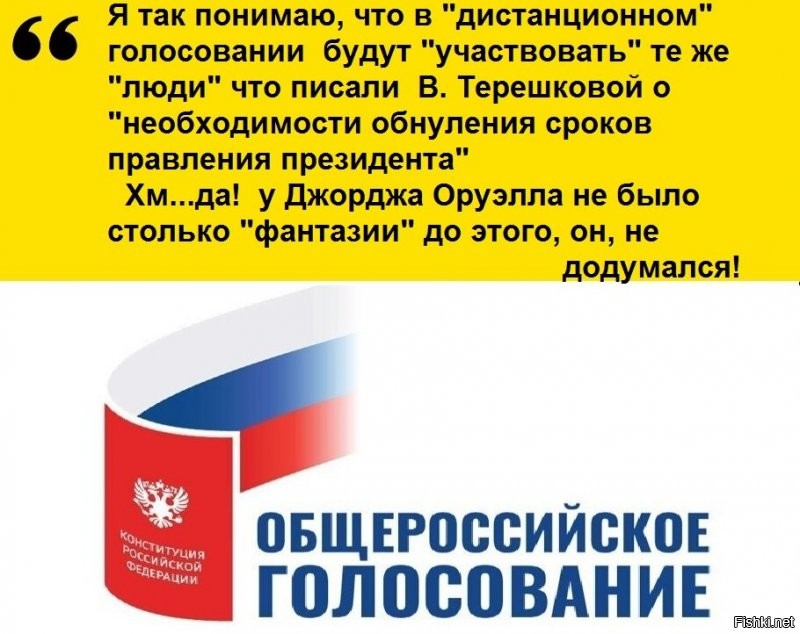 ОП за две недели выявила более двух тысяч фейков по поправкам к Конституции