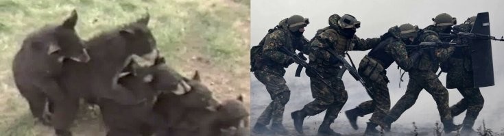 Выше такой пост есть.