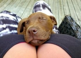 Симпатяшки