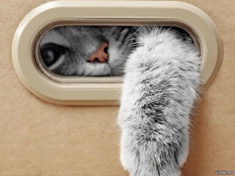 Солянка от 27.06.2020