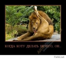 Самые странные рекорды с яйцами