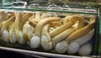 40 бедолаг, у которых день точно не задался