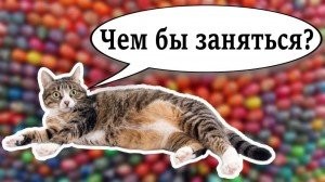 Самые странные рекорды с яйцами