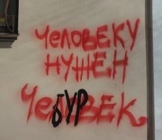 Смешные картинки