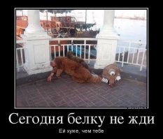 Алкопост на вечер этой пятницы