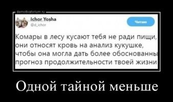 Радость или гадость: что случилось бы, если бы все комары в одночасье исчезли?