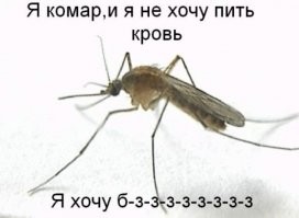 Радость или гадость: что случилось бы, если бы все комары в одночасье исчезли?