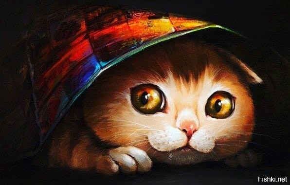 Солянка от 28.06.2020