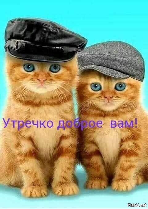 Доброе утро