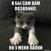 Смешные картинки