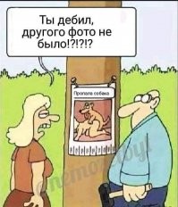 Смешные картинки