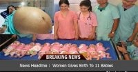 Вот самый странный рекорд с яйцами:  всё остальное-просто баловство