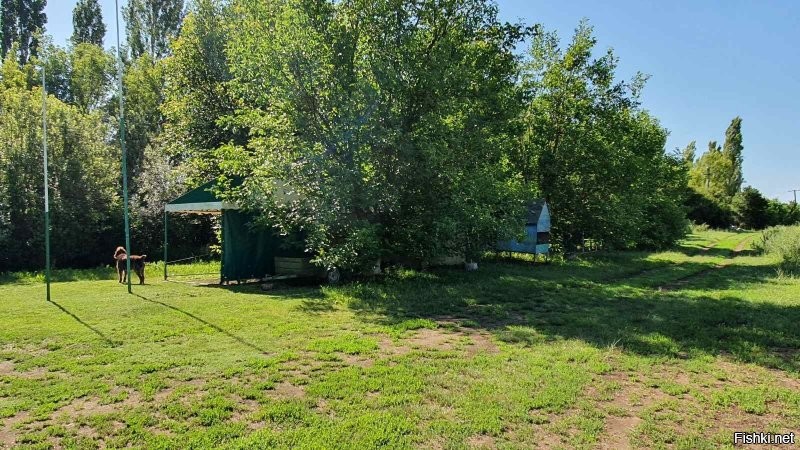 с пасеки