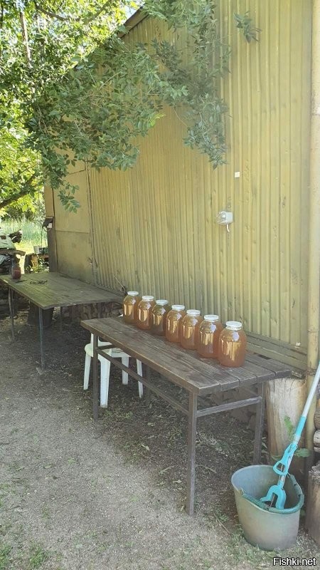 с пасеки