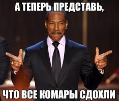 Смешные картинки