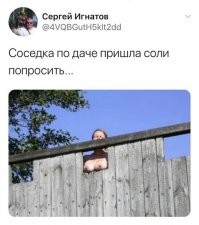 а на полметра ниже отверстия в заборе нет?