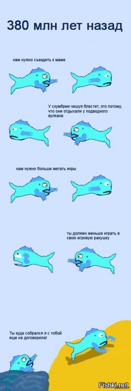 Солянка от 28.06.2020