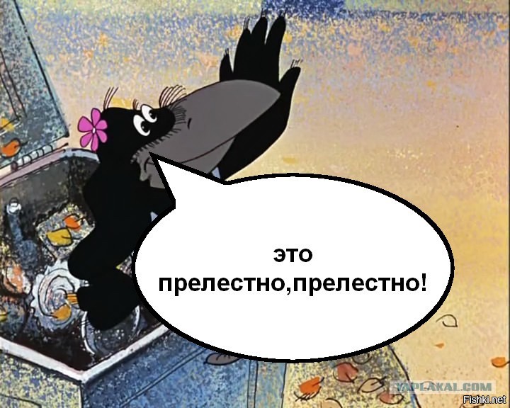 Солянка от 28.06.2020