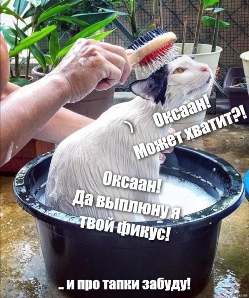 Солянка от 28.06.2020