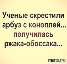 Солянка от 28.06.2020