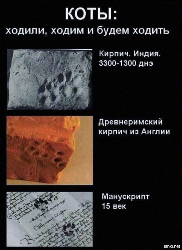 Василь ходил по всей квартире - на кухне, в спальне, на балкон,
Пока его Семён Петрович не научил
Ходить в лоток.