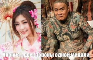 Плохо, когда у людей стереотипы складываются о странах и народах. Плохо.
 Японцы няшки, американцы тупые, китайцы пугливые, немцы умные, русские с поляками пьяницы. И нет объективной картины мира. 
Зря на автора напали.