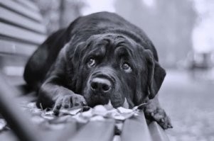 10 гениев, которые своими "бзиками" удивляли окружающих