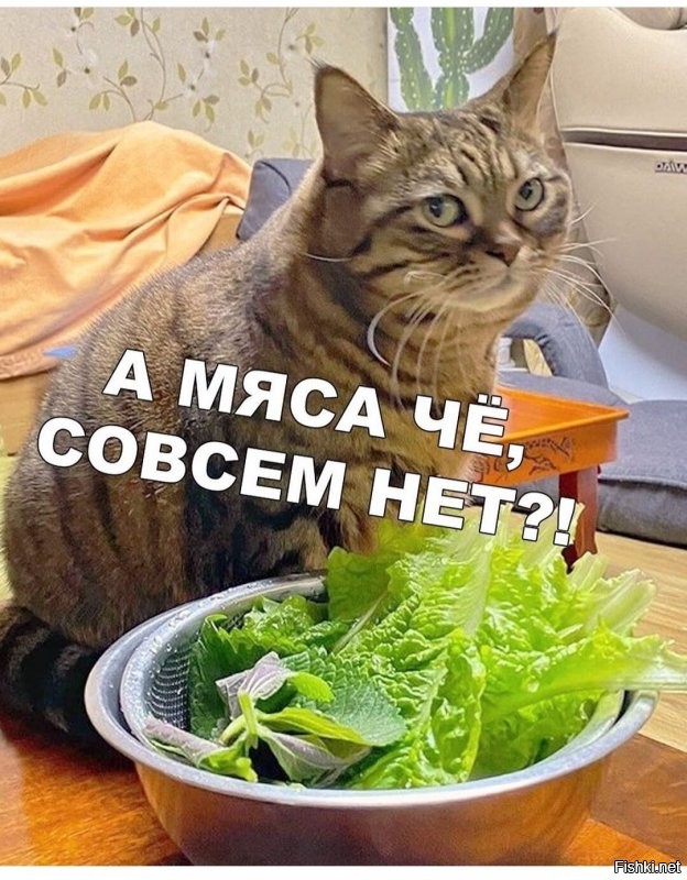 Солянка от 29.06.2020