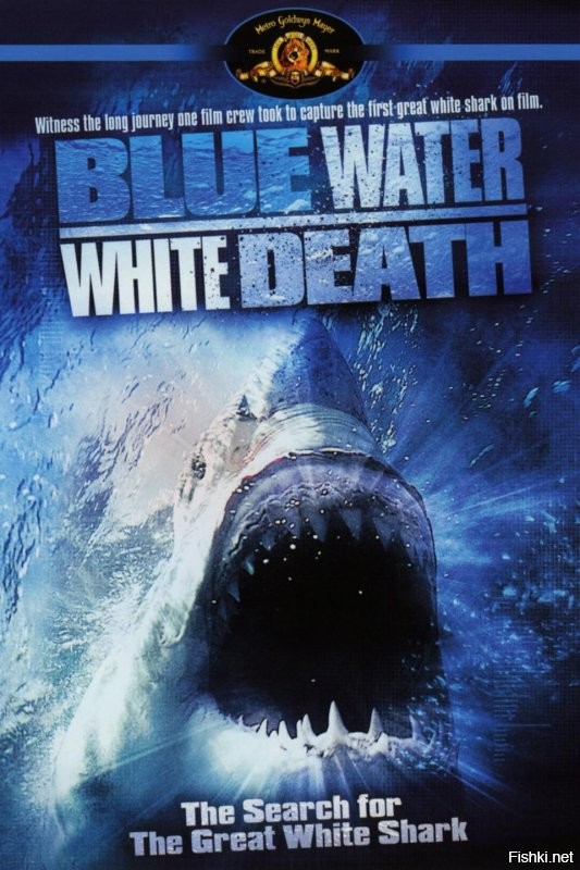 Не знаю. на меня в юности очень сильное впечатление произвел фильм "голубая вода, белая смерть". Это все было задолго до "Челюстей" и прочего так что я был еще не избалован ужастиками. А первое впечатление - самое запоминающееся :)