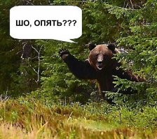 Уже не школьницы. Самые обаятельные девушки российских выпускных 2020 года