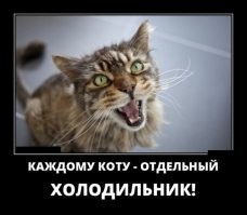 Смешные картинки