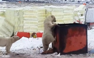 Картинки с надписями