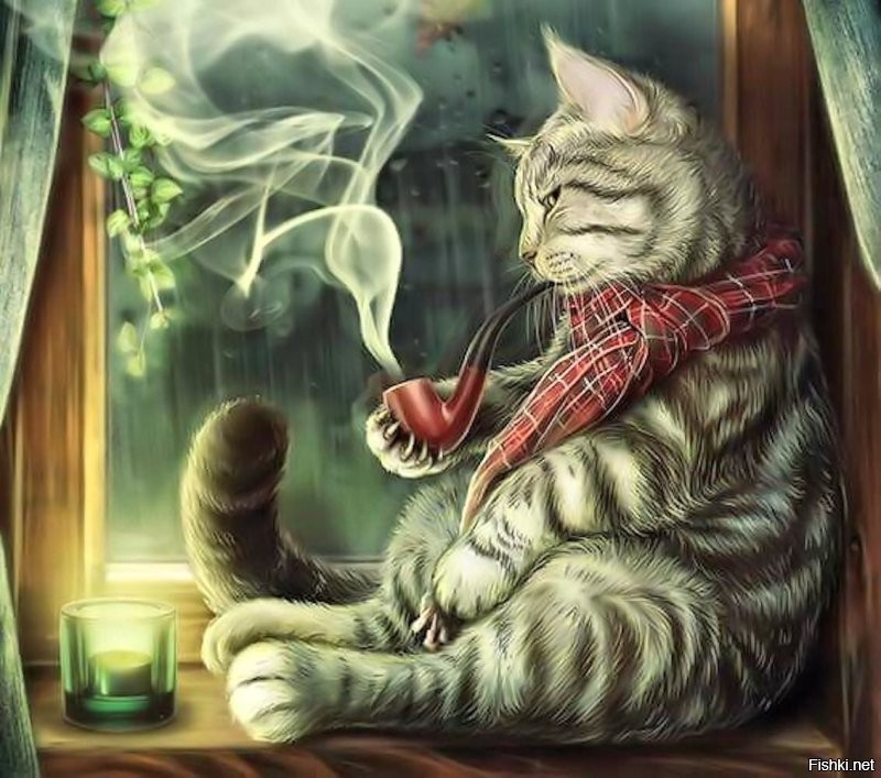 наоборот - это торобоан...