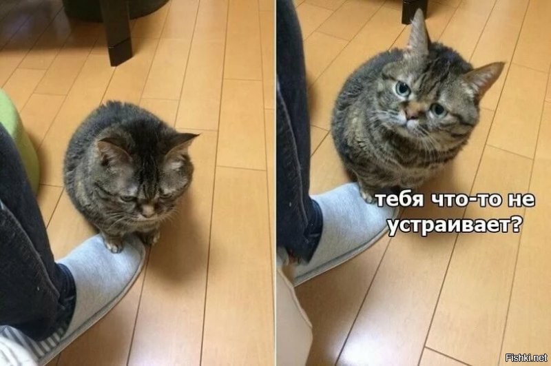 Солянка от 30.06.2020