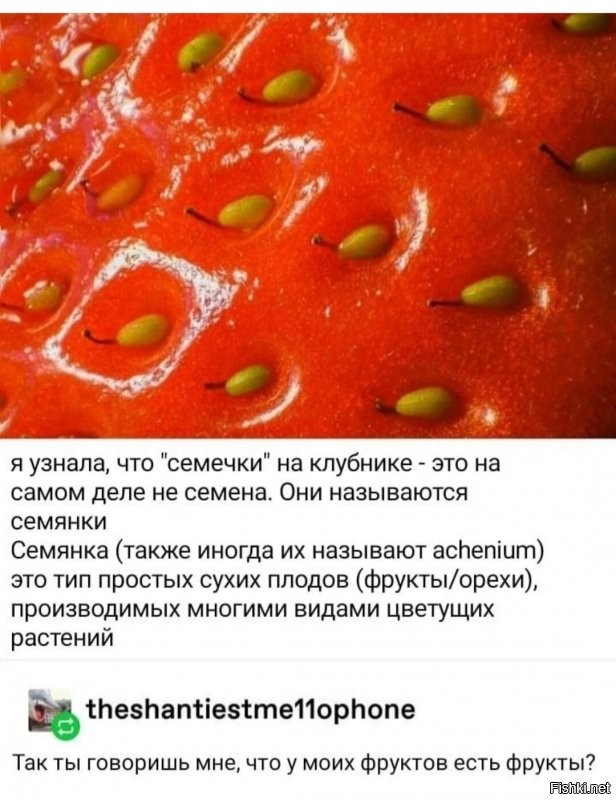Солянка от 30.06.2020