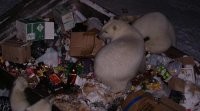 Смешные картинки