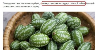 Эти симпатичные маленькие фрукты называются "арбузными огурцами"