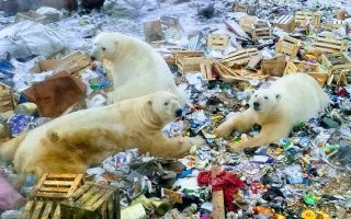 Смешные картинки