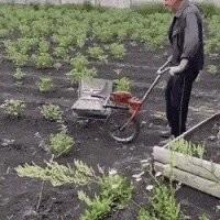 дайте ему нобелевскую, а лучше две!