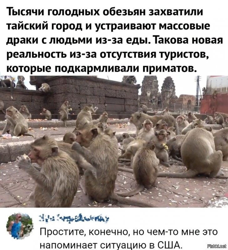 Политические комментарии из инета