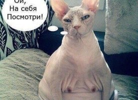 Хохотальня