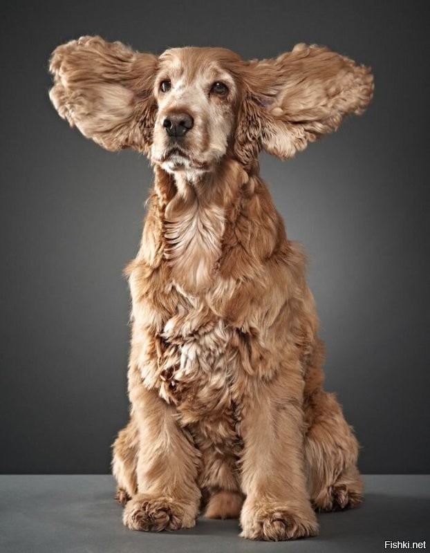 У него ежели только так: