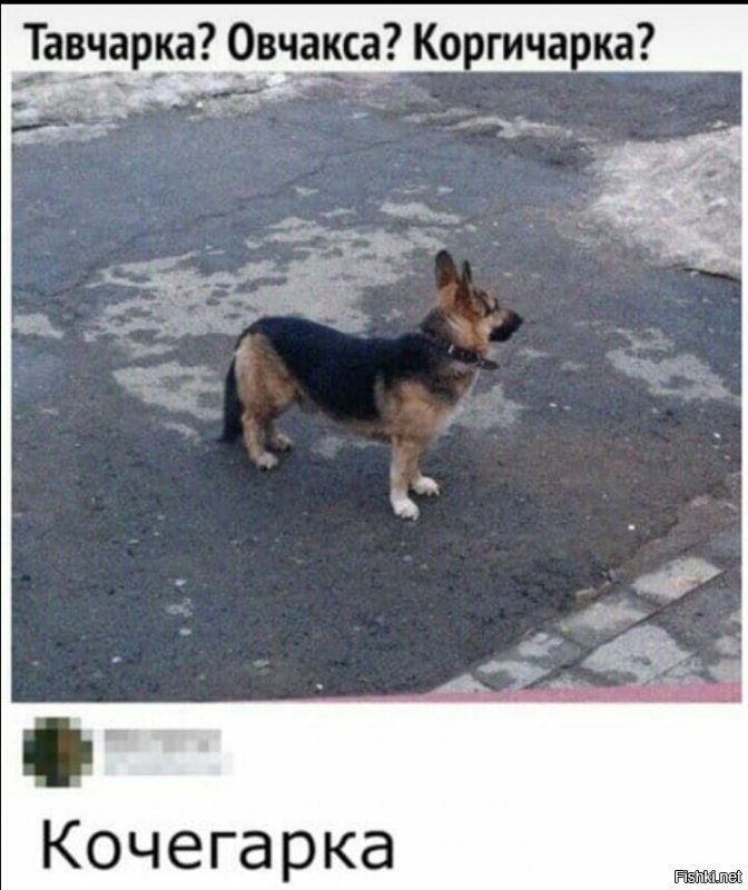 Смешные картинки